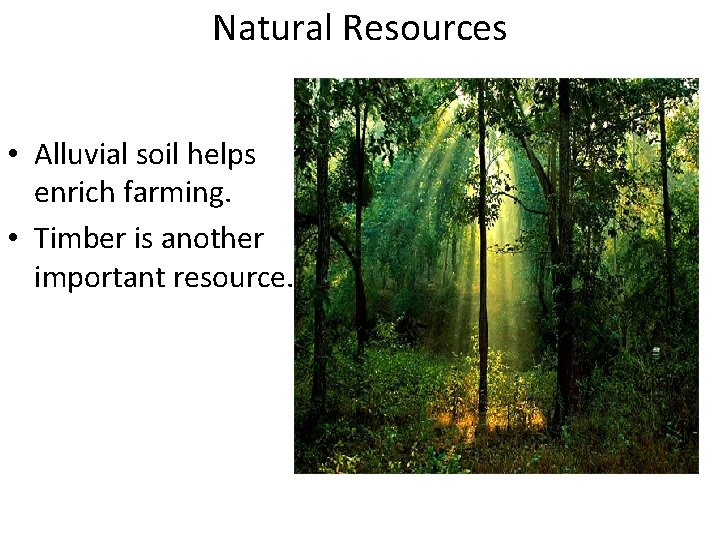 Natural Resources • Alluvial soil helps enrich farming. • Timber is another important resource.