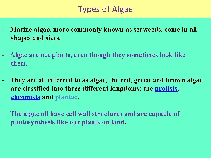 Types of Algae - Marine algae, more commonly known as seaweeds, come in all