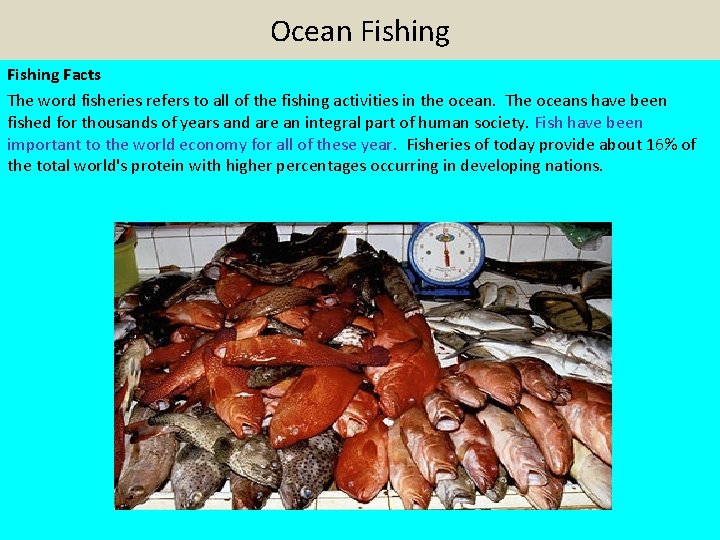 Ocean Fishing Facts The word fisheries refers to all of the fishing activities in