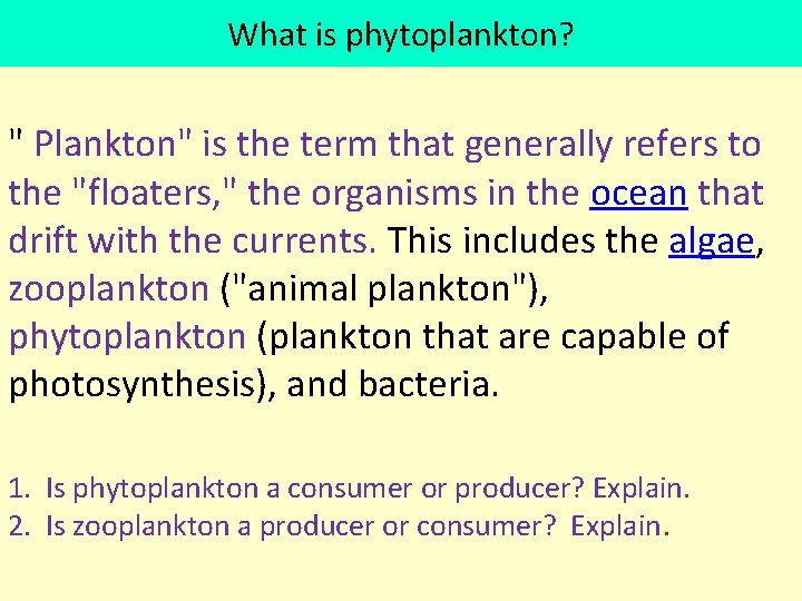 What is phytoplankton? " Plankton" is the term that generally refers to the "floaters,