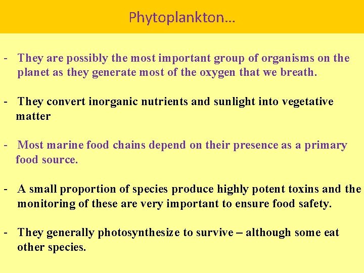 Phytoplankton… - They are possibly the most important group of organisms on the planet
