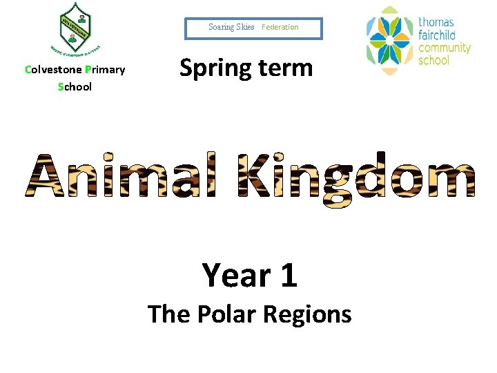 Soaring Skies Federation Colvestone Primary School Spring term Year 1 The Polar Regions 