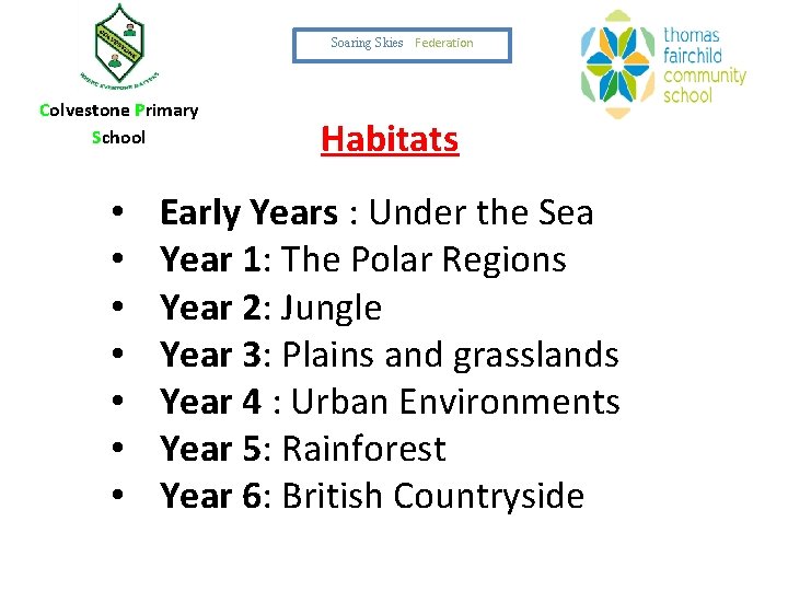 Soaring Skies Federation Colvestone Primary School • • Habitats Early Years : Under the