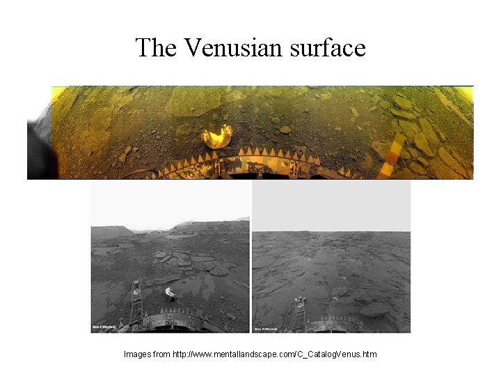 The Venusian surface Images from http: //www. mentallandscape. com/C_Catalog. Venus. htm 