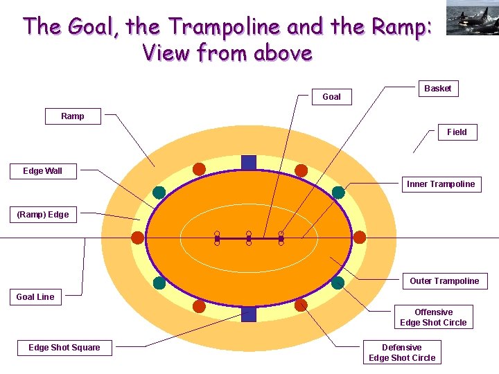 Goal Ramp Rollerslam The Global Fusion Sport of the Third