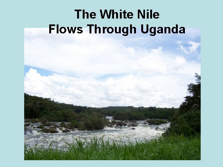 The White Nile Flows Through Uganda 