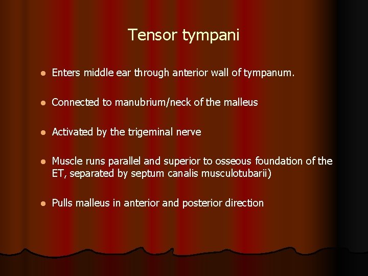 Tensor tympani l Enters middle ear through anterior wall of tympanum. l Connected to