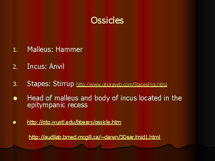 Ossicles 1. Malleus: Hammer 2. Incus: Anvil 3. Stapes: Stirrup http: //www. ghorayeb. com/Stapes.