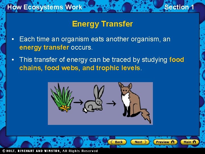 How Ecosystems Work Section 1 Energy Transfer • Each time an organism eats another