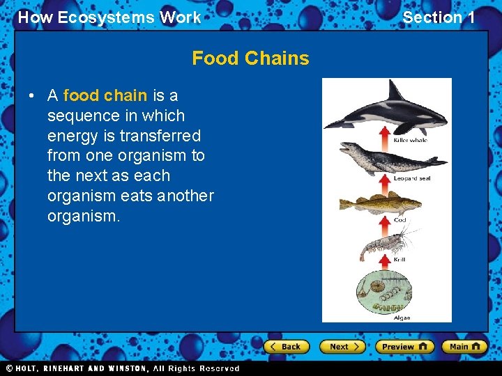 How Ecosystems Work Food Chains • A food chain is a sequence in which