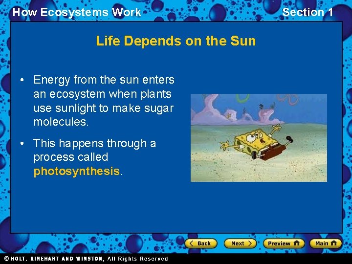 How Ecosystems Work Life Depends on the Sun • Energy from the sun enters