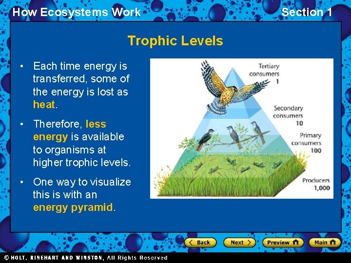 How Ecosystems Work Trophic Levels • Each time energy is transferred, some of the