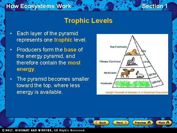 How Ecosystems Work Trophic Levels • Each layer of the pyramid represents one trophic