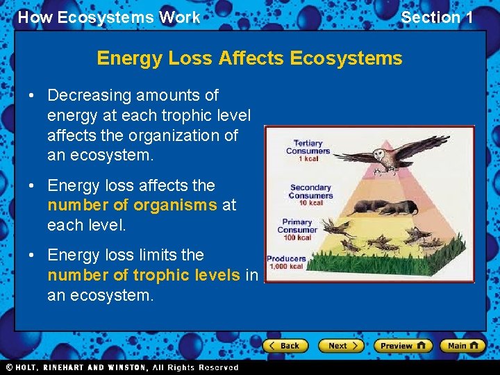 How Ecosystems Work Section 1 Energy Loss Affects Ecosystems • Decreasing amounts of energy