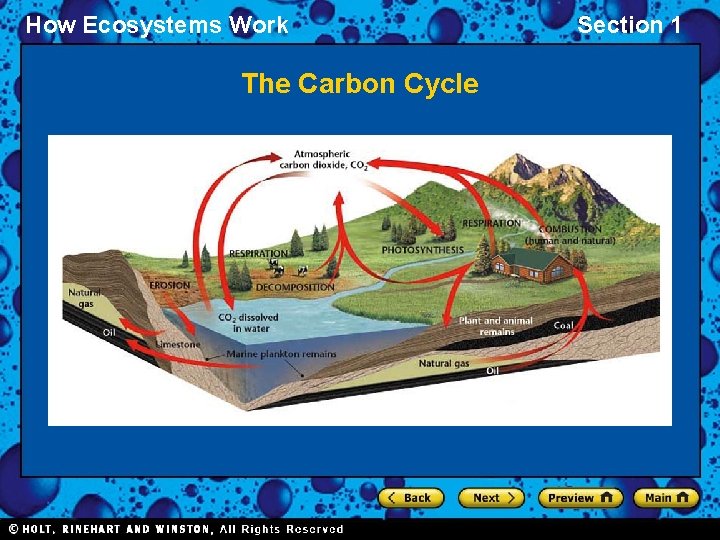 How Ecosystems Work The Carbon Cycle Section 1 