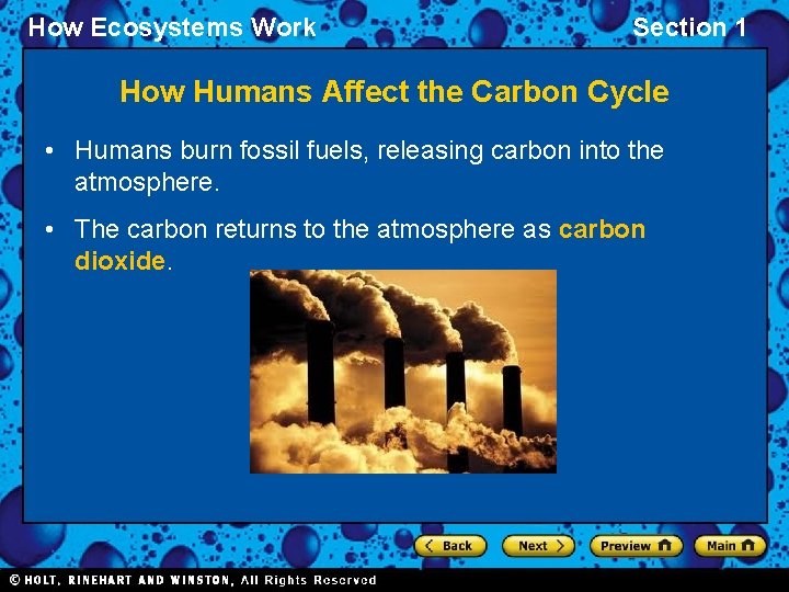 How Ecosystems Work Section 1 How Humans Affect the Carbon Cycle • Humans burn