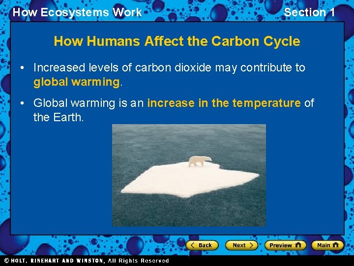 How Ecosystems Work Section 1 How Humans Affect the Carbon Cycle • Increased levels