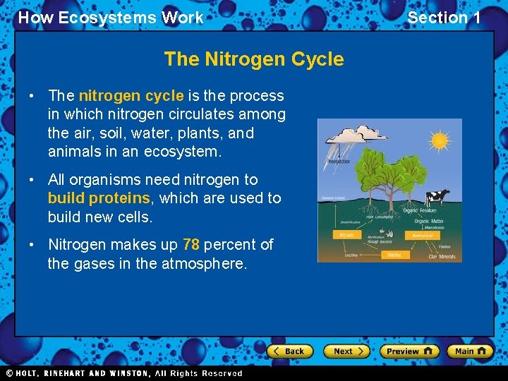 How Ecosystems Work The Nitrogen Cycle • The nitrogen cycle is the process in