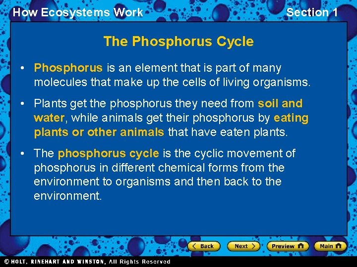 How Ecosystems Work Section 1 The Phosphorus Cycle • Phosphorus is an element that