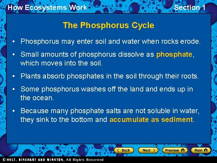How Ecosystems Work Section 1 The Phosphorus Cycle • Phosphorus may enter soil and