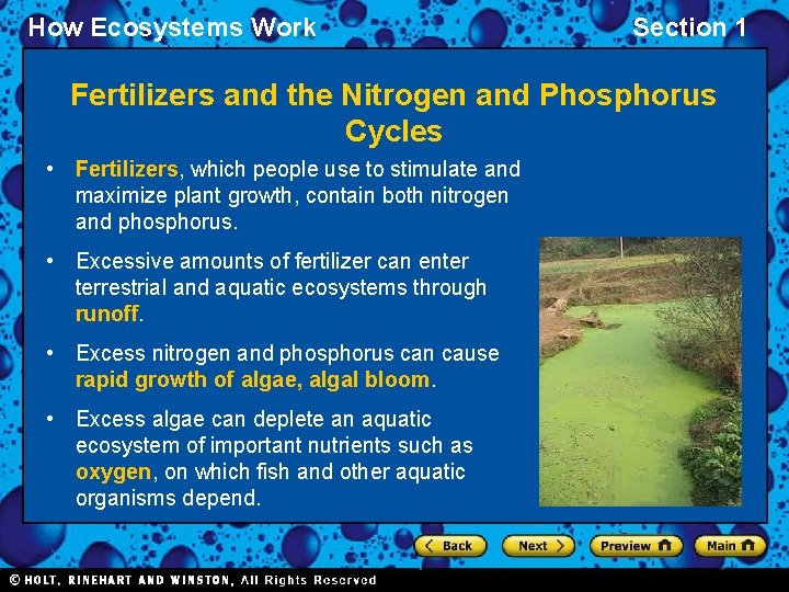 How Ecosystems Work Section 1 Fertilizers and the Nitrogen and Phosphorus Cycles • Fertilizers,