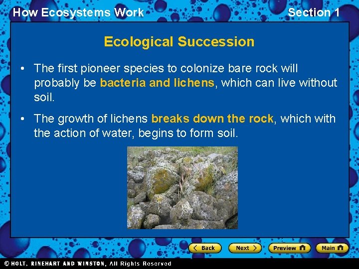 How Ecosystems Work Section 1 Ecological Succession • The first pioneer species to colonize