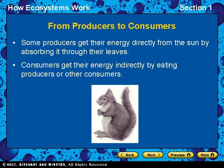 How Ecosystems Work Section 1 From Producers to Consumers • Some producers get their