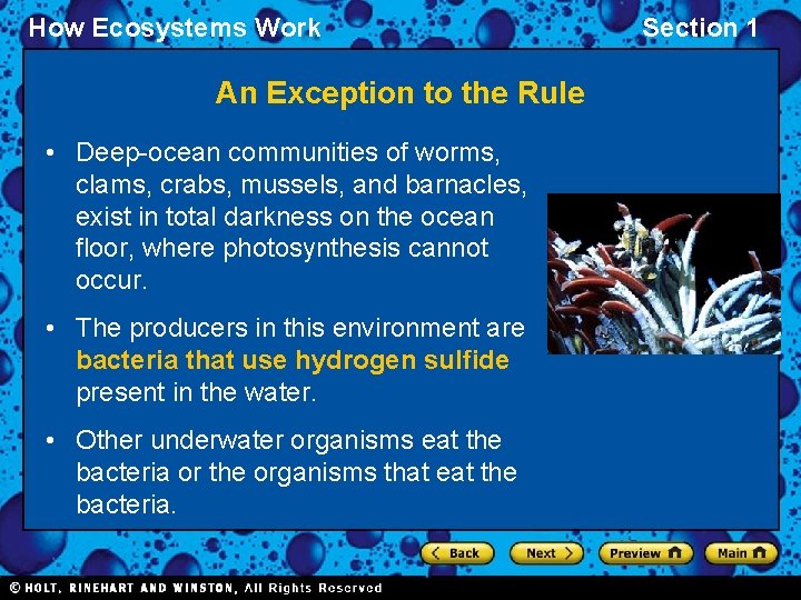 How Ecosystems Work An Exception to the Rule • Deep-ocean communities of worms, clams,