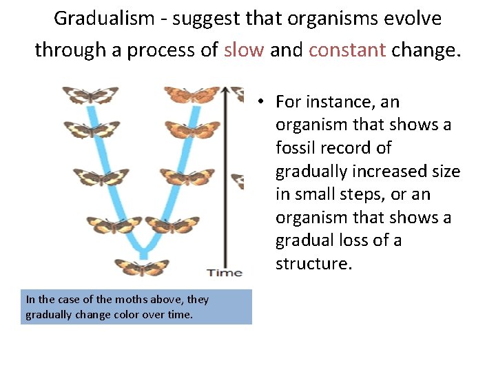 Gradualism - suggest that organisms evolve through a process of slow and constant change.