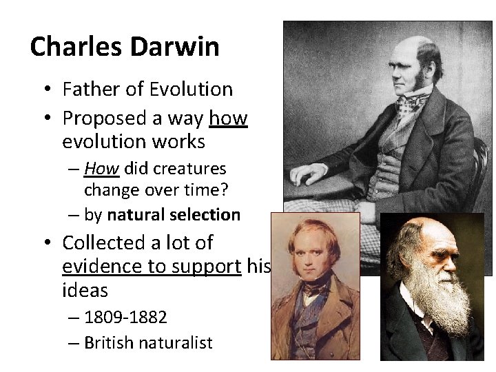 Charles Darwin • Father of Evolution • Proposed a way how evolution works –