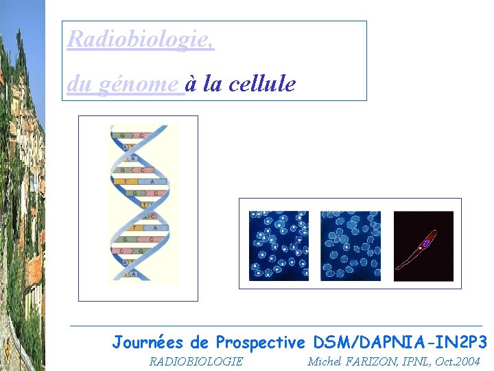 Radiobiologie, du génome à la cellule Journées de Prospective DSM/DAPNIA-IN 2 P 3 RADIOBIOLOGIE