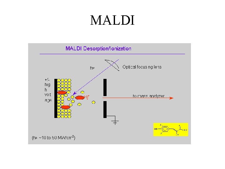 MALDI 