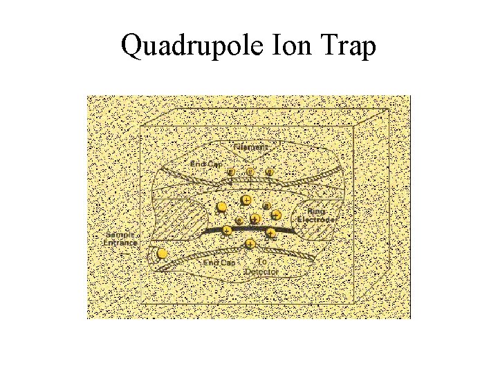 Quadrupole Ion Trap 