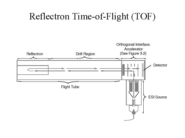 Reflectron Time-of-Flight (TOF) 