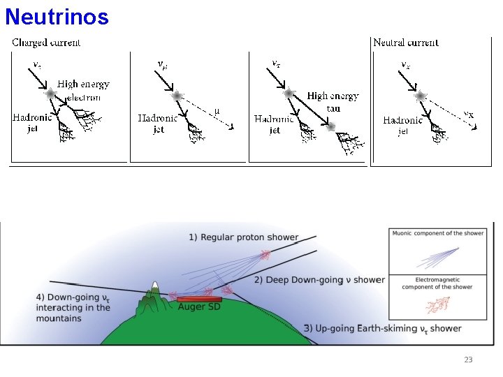 Neutrinos 23 