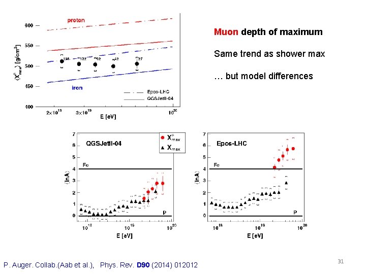 Muon depth of maximum Same trend as shower max … but model differences P.