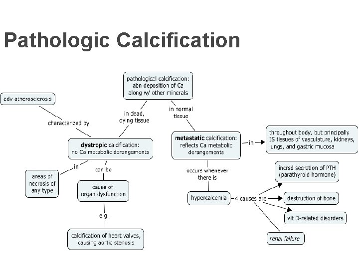 Pathologic Calcification 