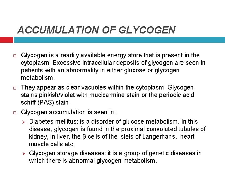 ACCUMULATION OF GLYCOGEN Glycogen is a readily available energy store that is present in