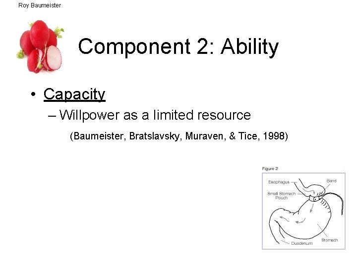 Roy Baumeister Component 2: Ability • Capacity – Willpower as a limited resource (Baumeister,