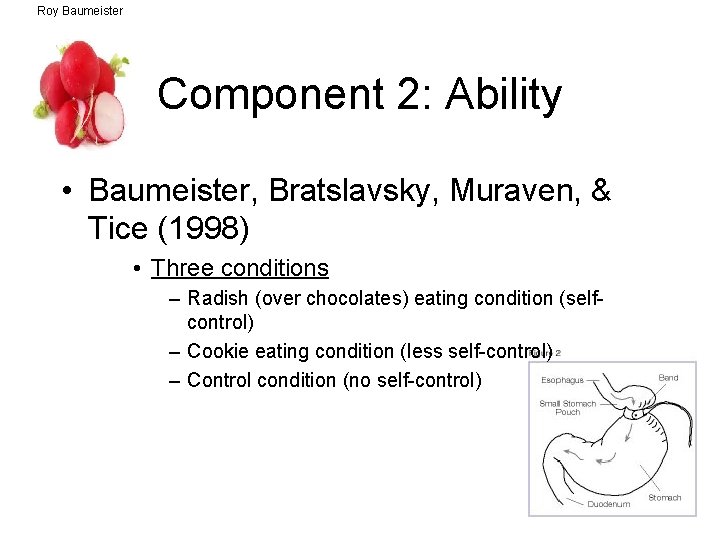 Roy Baumeister Component 2: Ability • Baumeister, Bratslavsky, Muraven, & Tice (1998) • Three