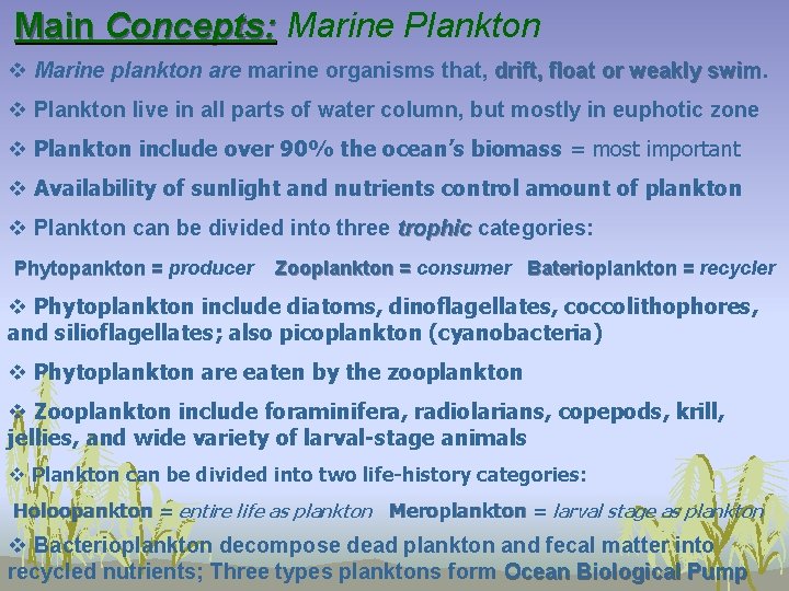 Main Concepts: Marine Plankton v Marine plankton are marine organisms that, drift, float or