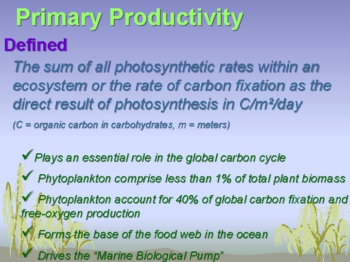 Primary Productivity Defined The sum of all photosynthetic rates within an ecosystem or the