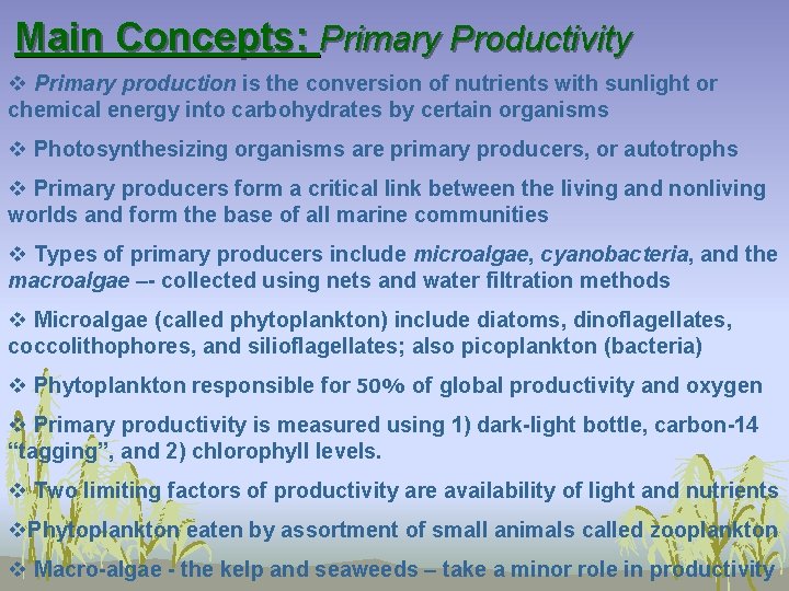 Main Concepts: Primary Productivity v Primary production is the conversion of nutrients with sunlight