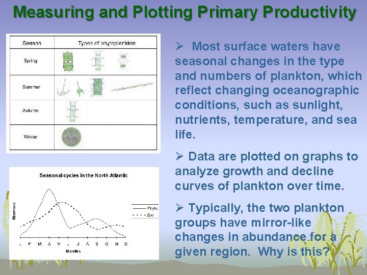 Measuring and Plotting Primary Productivity Ø Most surface waters have seasonal changes in the