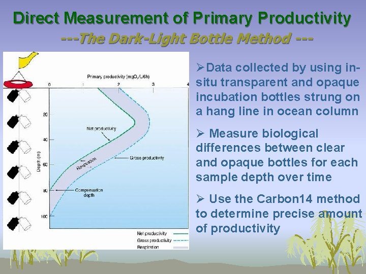 Direct Measurement of Primary Productivity ---The Dark-Light Bottle Method --ØData collected by using insitu