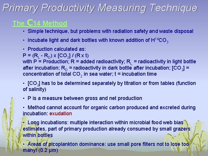 Primary Productivity Measuring Technique The C 14 Method • Simple technique, but problems with