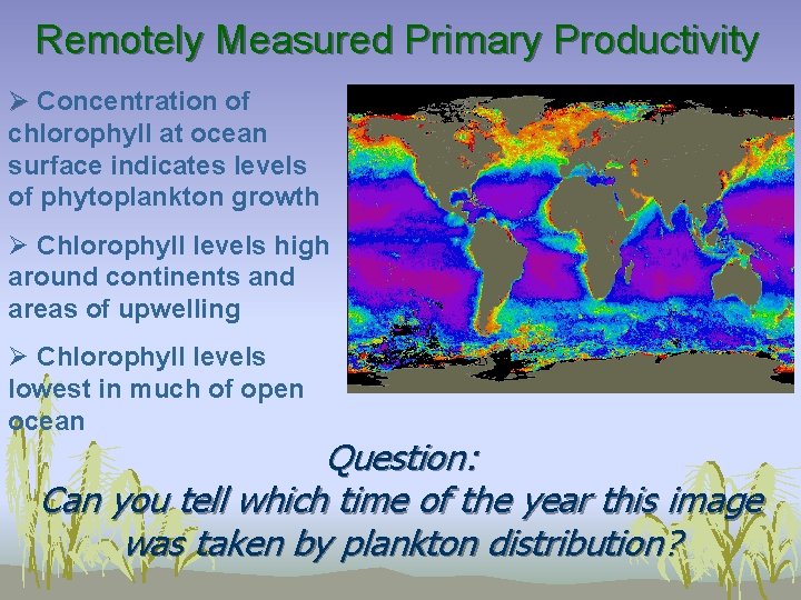 Remotely Measured Primary Productivity Ø Concentration of chlorophyll at ocean surface indicates levels of