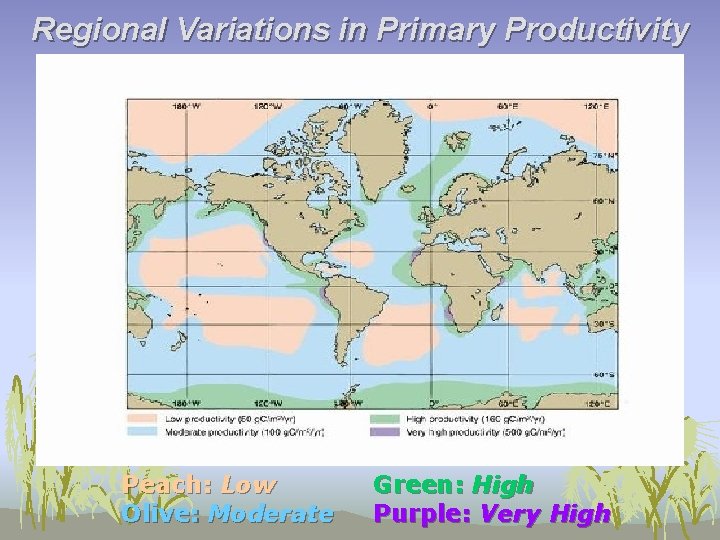 Regional Variations in Primary Productivity Regional Variation Peach: Low Olive: Moderate Green: High Purple: