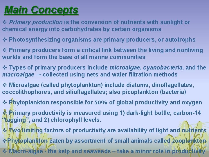 Main Concepts v Primary production is the conversion of nutrients with sunlight or chemical