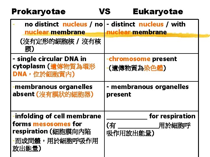 Prokaryotae - VS Eukaryotae no distinct nucleus / no - distinct nucleus / with